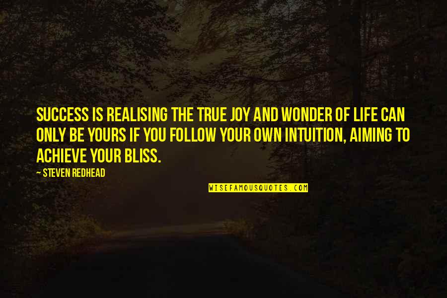 Life And Success Quotes By Steven Redhead: Success is realising the true joy and wonder