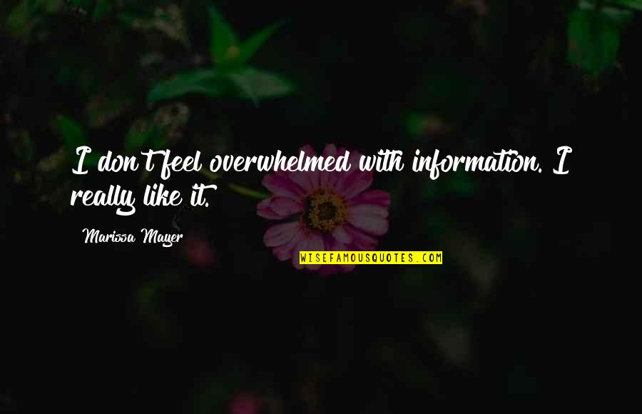 Life And Their Meanings Quotes By Marissa Mayer: I don't feel overwhelmed with information. I really