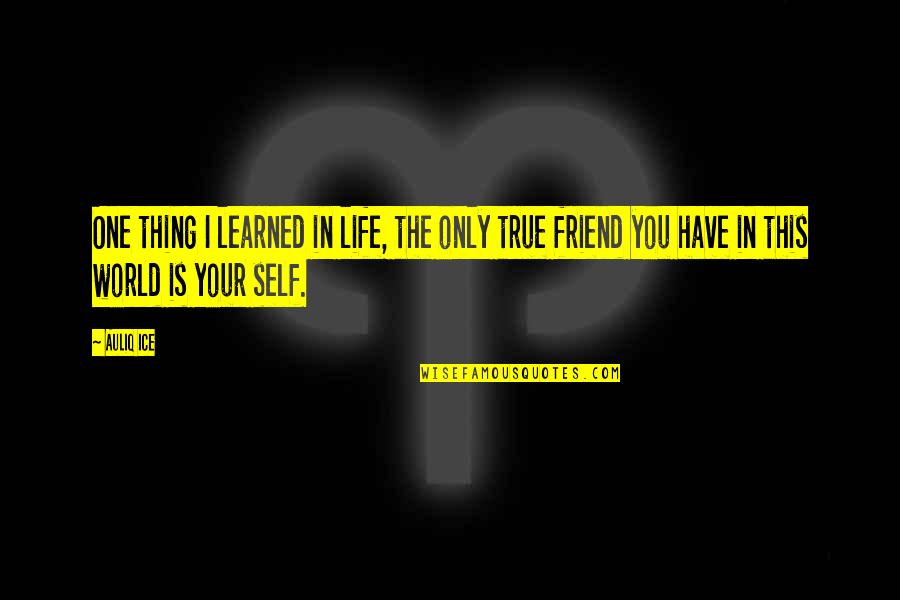 Life And True Friendship Quotes By Auliq Ice: One thing I learned in life, the only