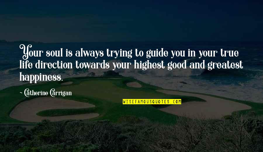 Life And True Happiness Quotes By Catherine Carrigan: Your soul is always trying to guide you