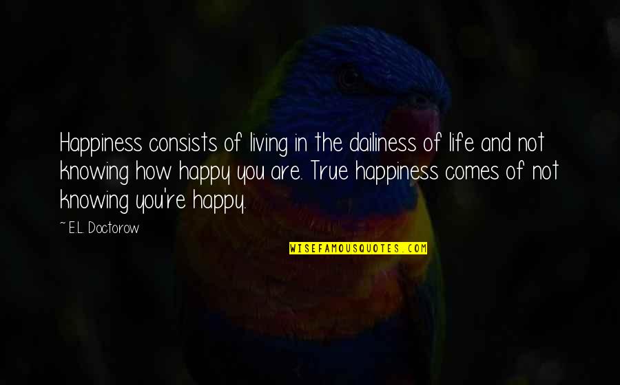 Life And True Happiness Quotes By E.L. Doctorow: Happiness consists of living in the dailiness of