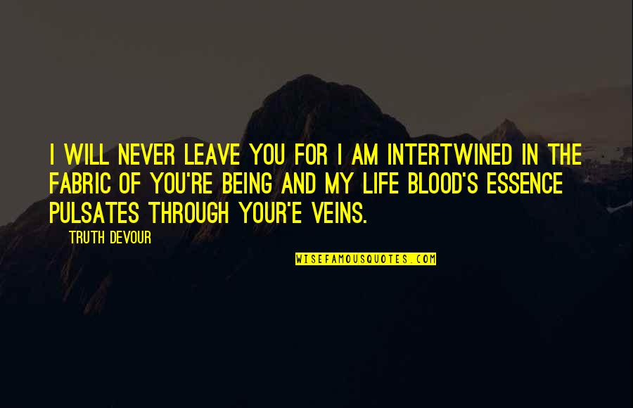 Life And Veins Quotes By Truth Devour: I will never leave you for I am Life And Veins Quotes By Truth Devour: I will never leave you for I am