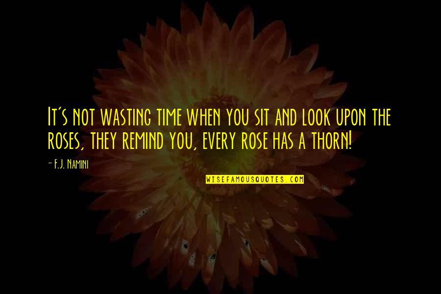 Life And Wasting Time Quotes By F.J. Namini: It's not wasting time when you sit and