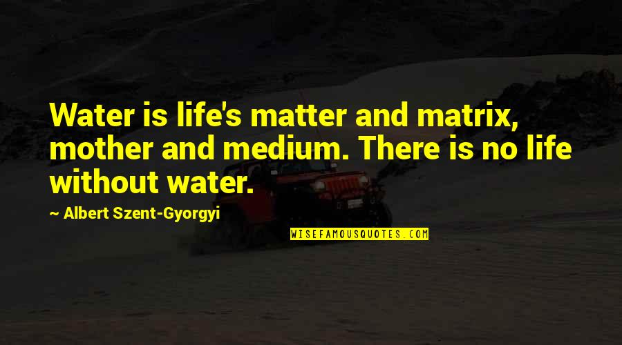 Life And Water Quotes By Albert Szent-Gyorgyi: Water is life's matter and matrix, mother and