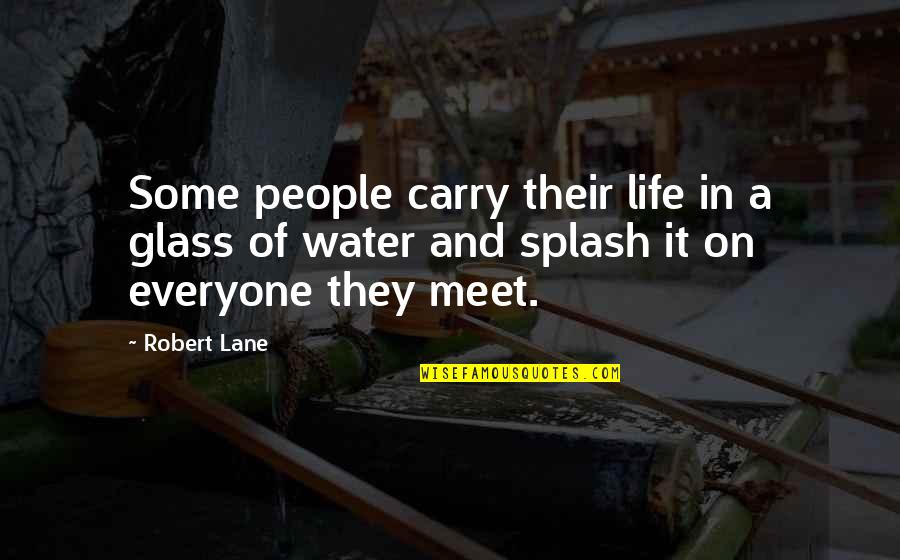 Life And Water Quotes By Robert Lane: Some people carry their life in a glass