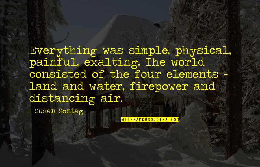 Life And Water Quotes By Susan Sontag: Everything was simple, physical, painful, exalting. The world