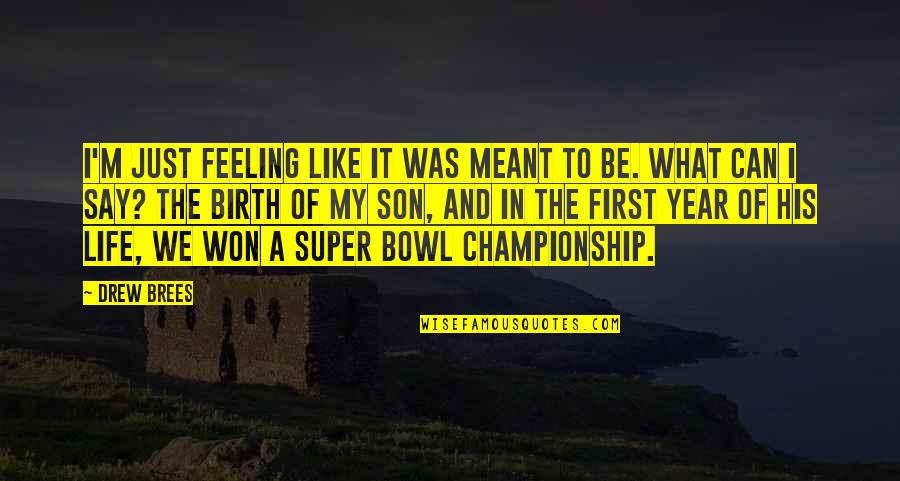 Life And What's Meant To Be Quotes By Drew Brees: I'm just feeling like it was meant to