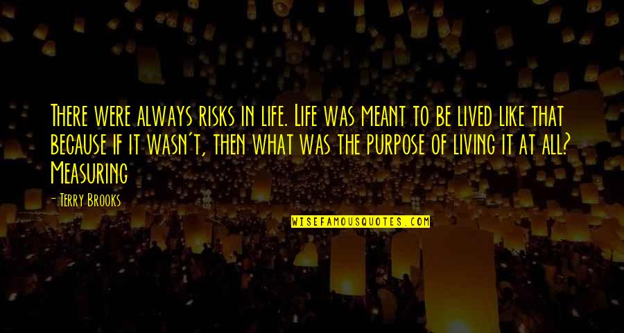 Life And What's Meant To Be Quotes By Terry Brooks: There were always risks in life. Life was