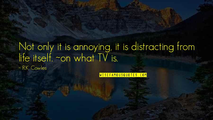 Life Annoying Quotes By R.K. Cowles: Not only it is annoying, it is distracting
