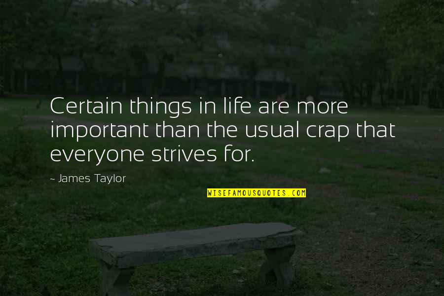 Life As Usual Quotes By James Taylor: Certain things in life are more important than Life As Usual Quotes By James Taylor: Certain things in life are more important than