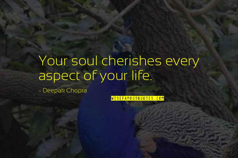 Life Aspect Quotes By Deepak Chopra: Your soul cherishes every aspect of your life.