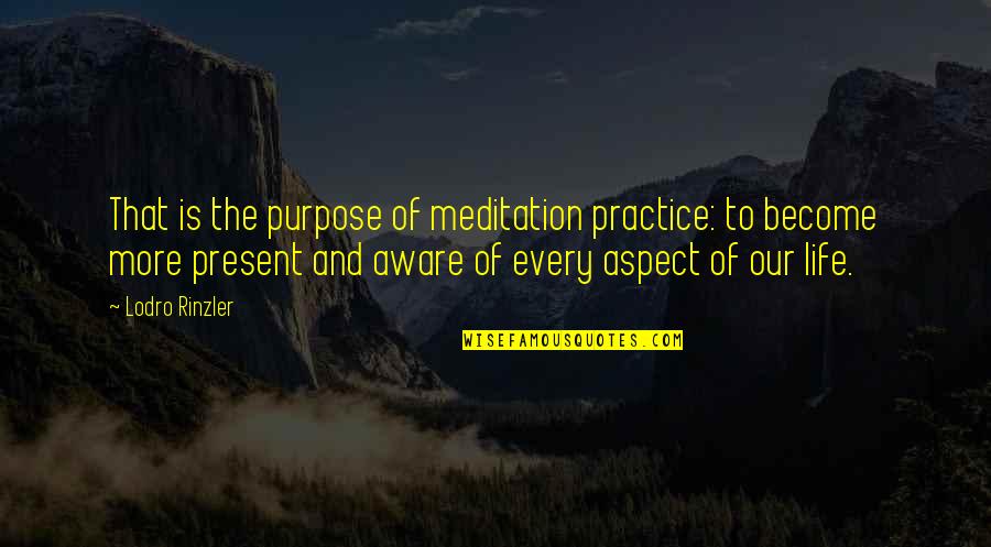 Life Aspect Quotes By Lodro Rinzler: That is the purpose of meditation practice: to