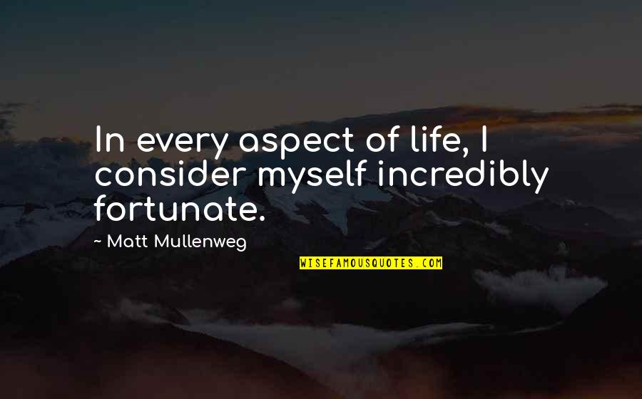 Life Aspect Quotes By Matt Mullenweg: In every aspect of life, I consider myself