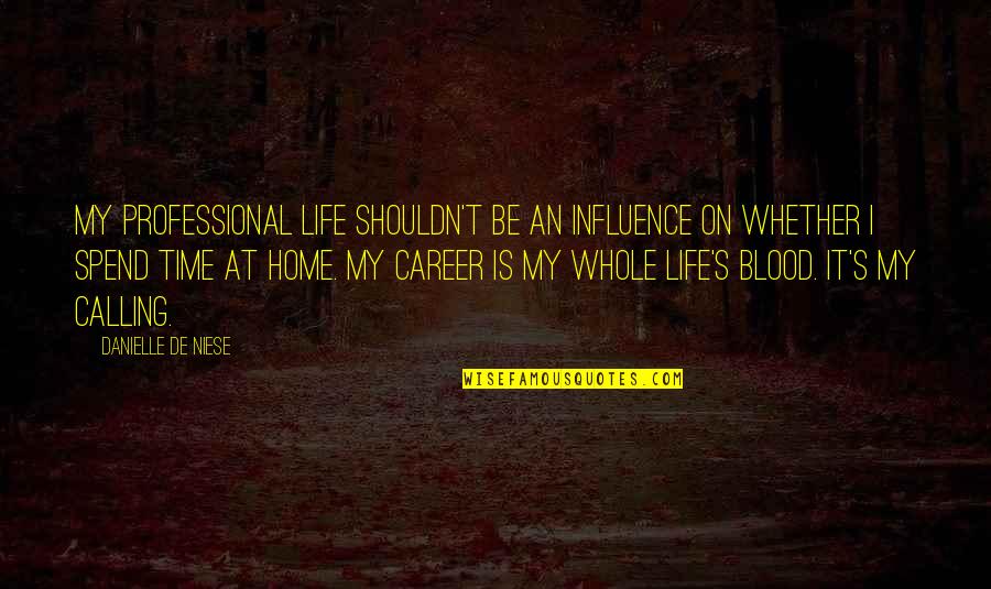 Life At Home Quotes By Danielle De Niese: My professional life shouldn't be an influence on