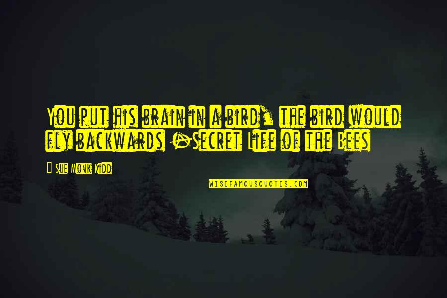 Life Backwards Quotes By Sue Monk Kidd: You put his brain in a bird, the