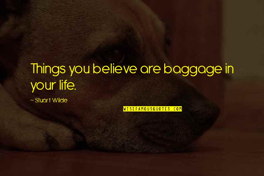 Life Baggage Quotes By Stuart Wilde: Things you believe are baggage in your life.