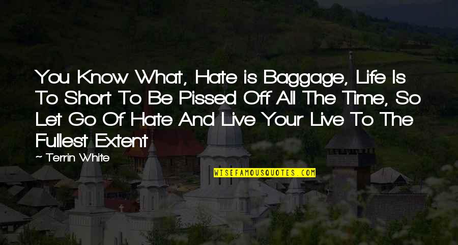 Life Baggage Quotes By Terrin White: You Know What, Hate is Baggage, Life Is