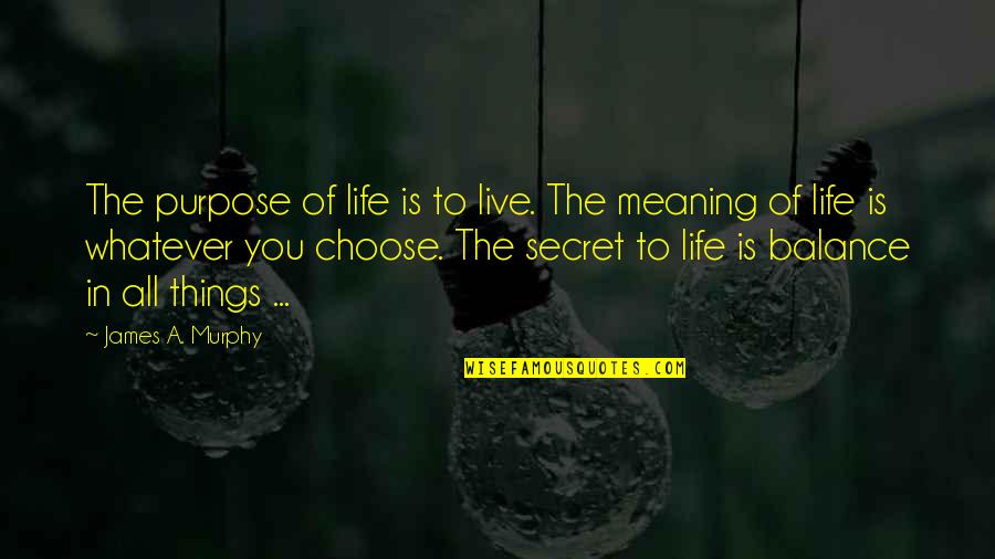 Life Balance Quotes By James A. Murphy: The purpose of life is to live. The