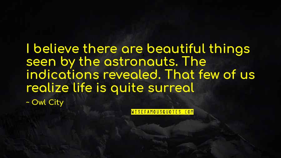 Life Beautiful Quotes By Owl City: I believe there are beautiful things seen by