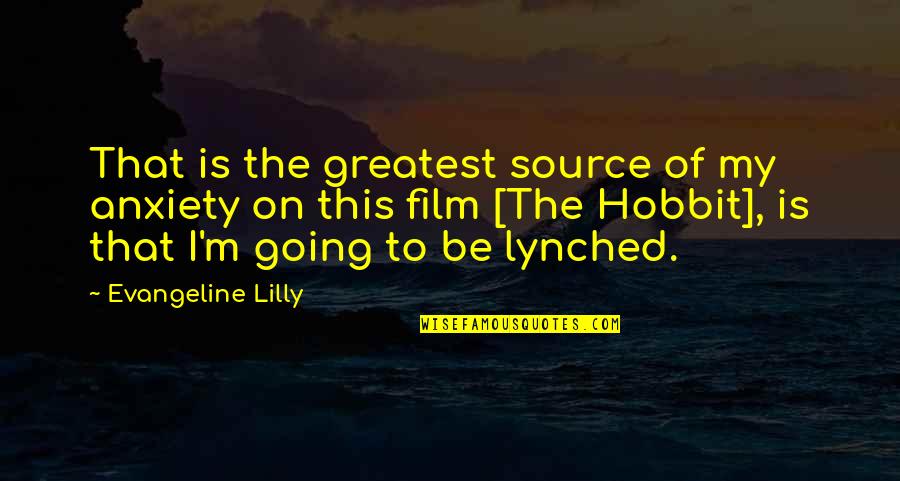 Life Beginners Quotes By Evangeline Lilly: That is the greatest source of my anxiety