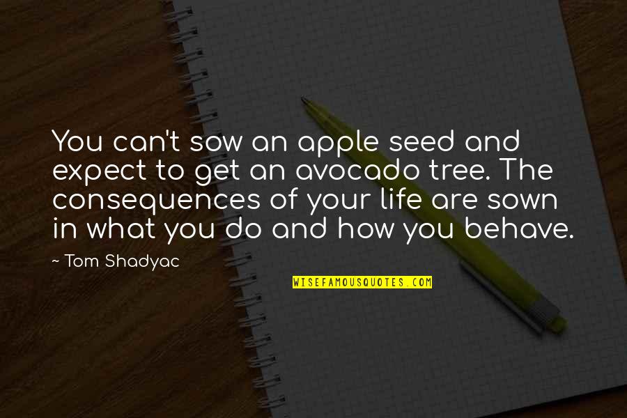 Life Behave Quotes By Tom Shadyac: You can't sow an apple seed and expect Life Behave Quotes By Tom Shadyac: You can't sow an apple seed and expect