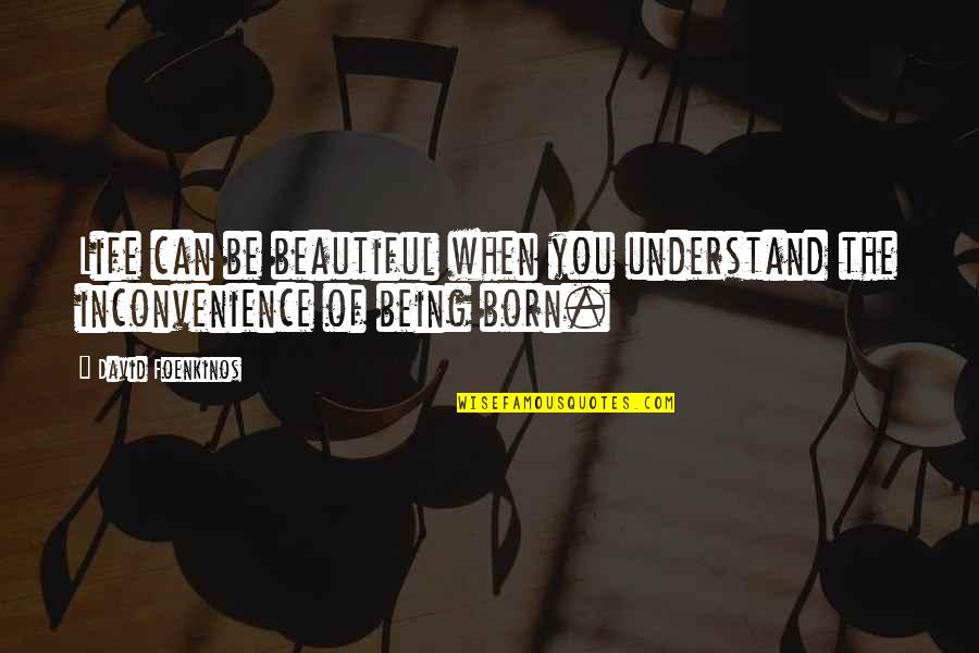 Life Being Beautiful Quotes By David Foenkinos: Life can be beautiful when you understand the