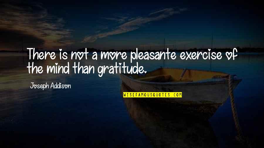 Life Being Hard Work Quotes By Joseph Addison: There is not a more pleasante exercise of