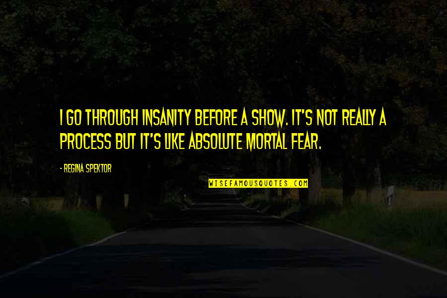 Life Being Short And Family Quotes By Regina Spektor: I go through insanity before a show. It's