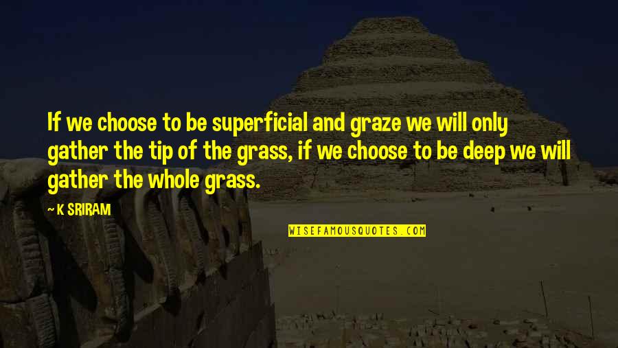 Life Booster Quotes By K SRIRAM: If we choose to be superficial and graze