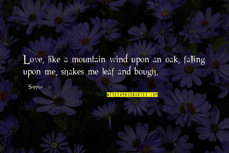 Life By Philosophers Quotes By Sappho: Love, like a mountain-wind upon an oak, falling