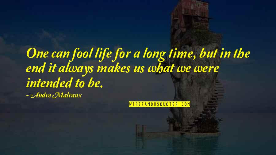 Life Can End Quotes By Andre Malraux: One can fool life for a long time,