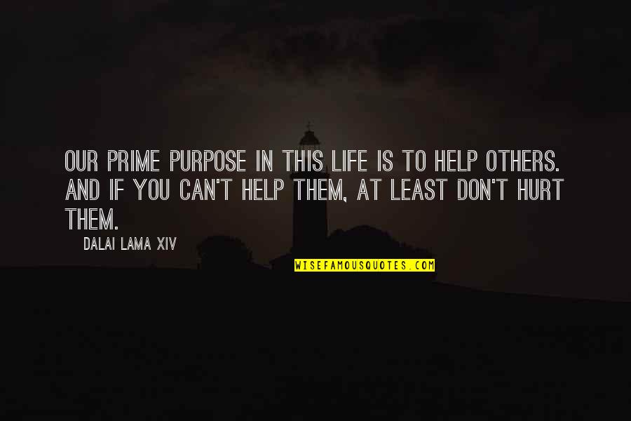Life Can Hurt Quotes By Dalai Lama XIV: Our prime purpose in this life is to