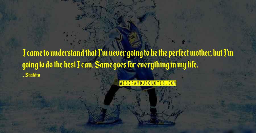 Life Can't Be Perfect Quotes By Shakira: I came to understand that I'm never going