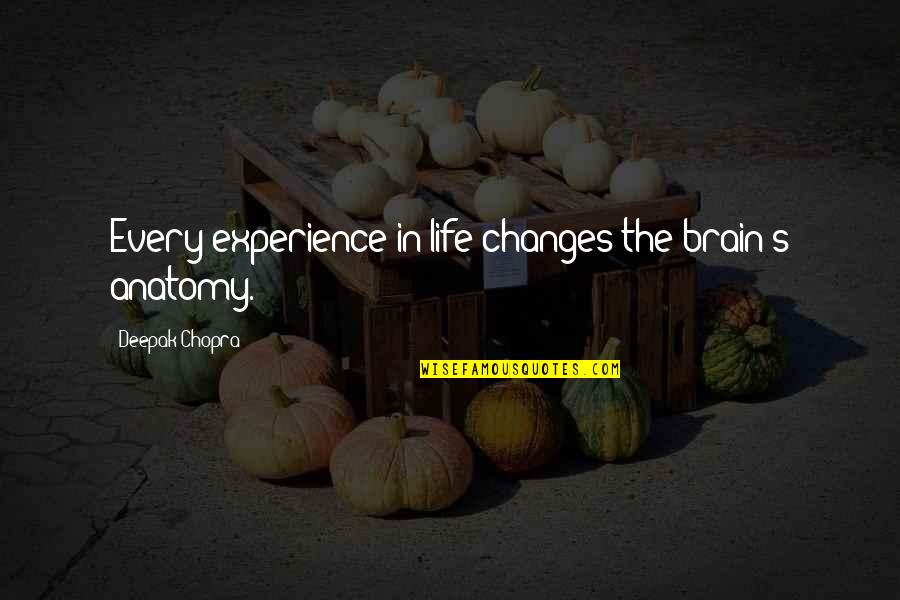 Life Changing Experience Quotes By Deepak Chopra: Every experience in life changes the brain's anatomy. Life Changing Experience Quotes By Deepak Chopra: Every experience in life changes the brain's anatomy.