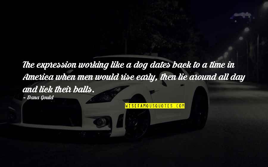 Life Changing Famous Quotes By Dana Gould: The expression working like a dog dates back