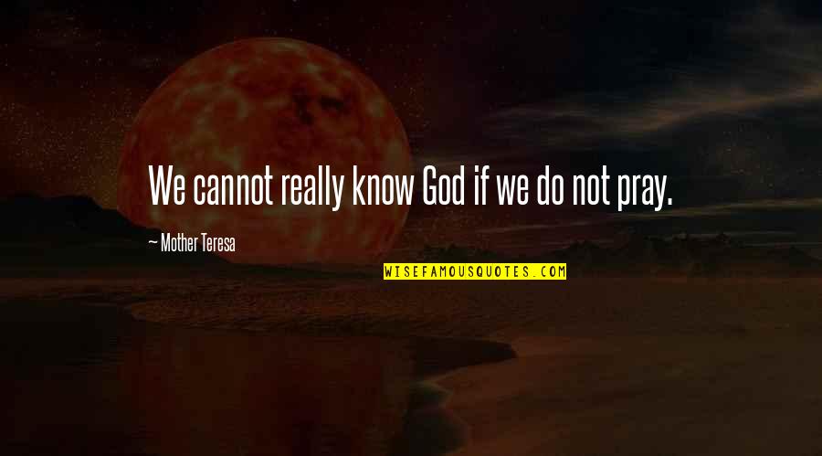 Life Coaching Tips Quotes By Mother Teresa: We cannot really know God if we do