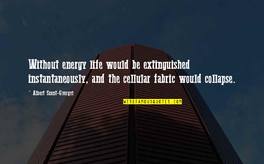 Life Collapse Quotes By Albert Szent-Gyorgyi: Without energy life would be extinguished instantaneously, and Life Collapse Quotes By Albert Szent-Gyorgyi: Without energy life would be extinguished instantaneously, and