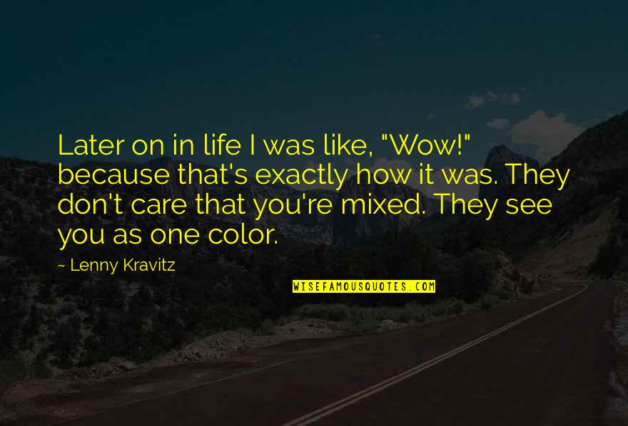 Life Color Quotes By Lenny Kravitz: Later on in life I was like, "Wow!"