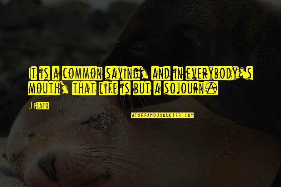 Life Common Quotes By Plato: It is a common saying, and in everybody's