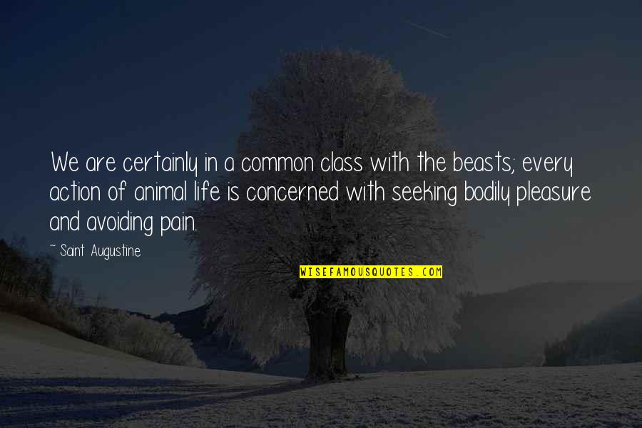 Life Common Quotes By Saint Augustine: We are certainly in a common class with