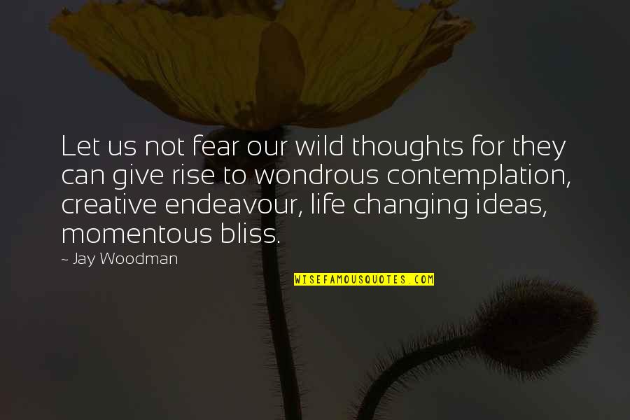 Life Contemplation Quotes By Jay Woodman: Let us not fear our wild thoughts for Life Contemplation Quotes By Jay Woodman: Let us not fear our wild thoughts for