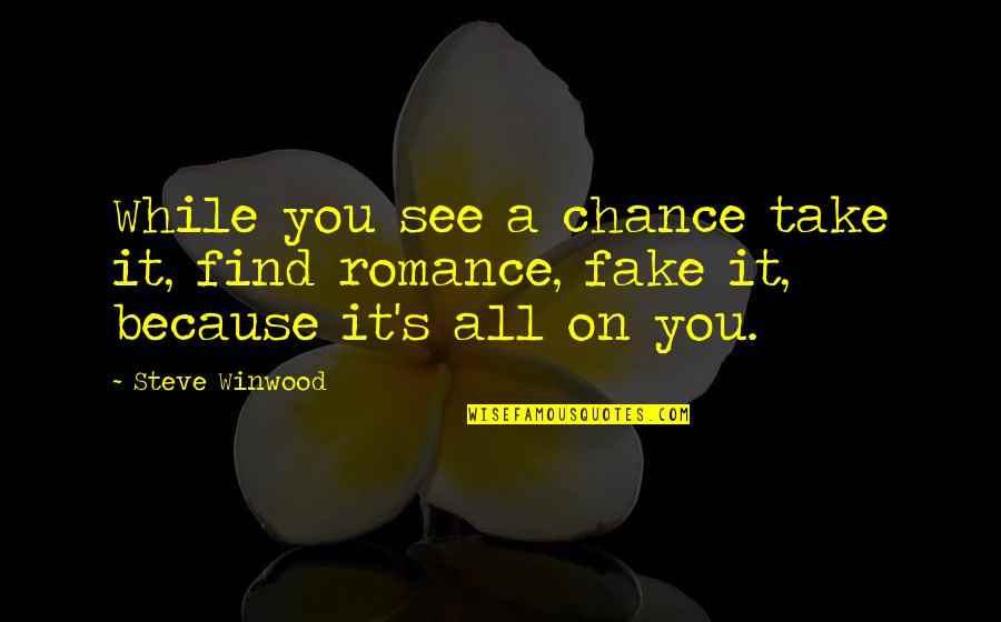 Life Coral Quotes By Steve Winwood: While you see a chance take it, find