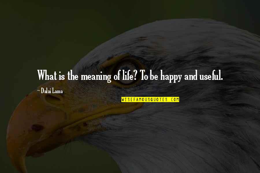 Life Dalai Lama Quotes By Dalai Lama: What is the meaning of life? To be