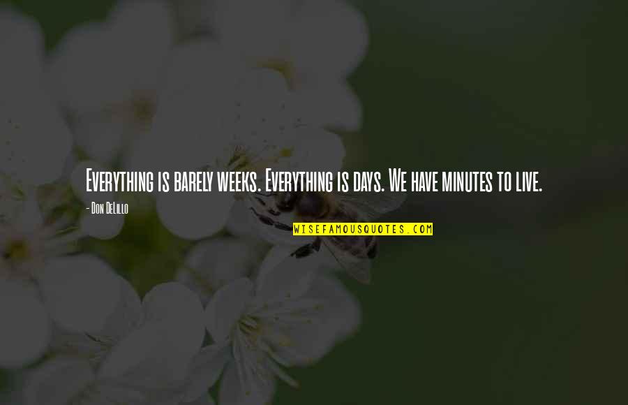 Life Dan Artinya Singkat Quotes By Don DeLillo: Everything is barely weeks. Everything is days. We
