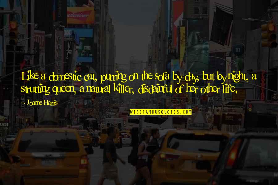 Life Day By Day Quotes By Joanne Harris: Like a domestic cat, purring on the sofa Life Day By Day Quotes By Joanne Harris: Like a domestic cat, purring on the sofa