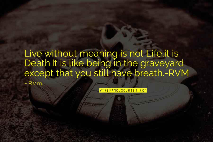 Life Death And Meaning Quotes By R.v.m.: Live without meaning is not Life,it is Death.It