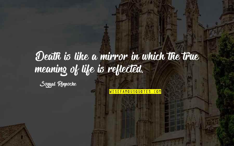 Life Death And Meaning Quotes By Sogyal Rinpoche: Death is like a mirror in which the Life Death And Meaning Quotes By Sogyal Rinpoche: Death is like a mirror in which the