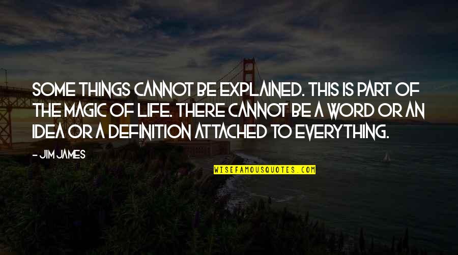 Life Definitions Quotes By Jim James: Some things cannot be explained. This is part