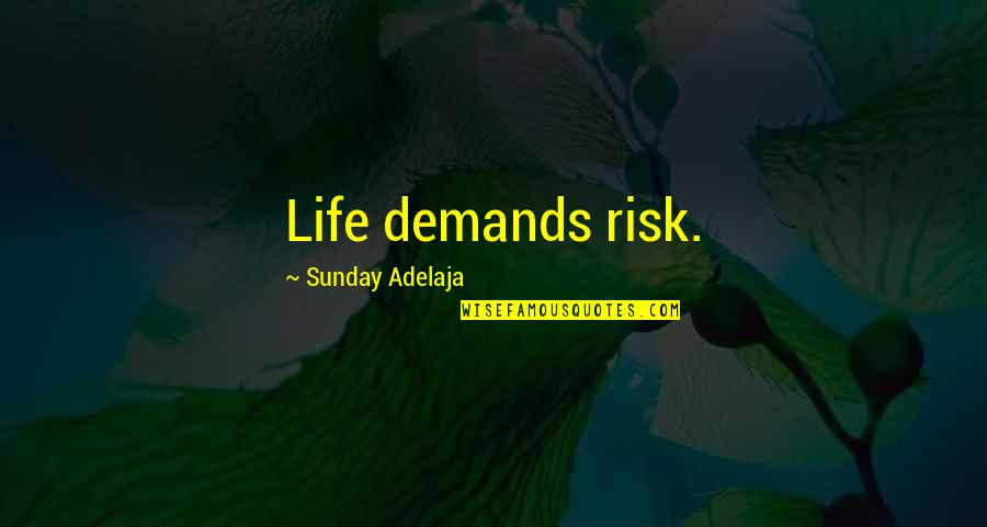 Life Demands Quotes By Sunday Adelaja: Life demands risk.