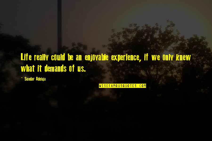 Life Demands Quotes By Sunday Adelaja: Life really could be an enjoyable experience, if